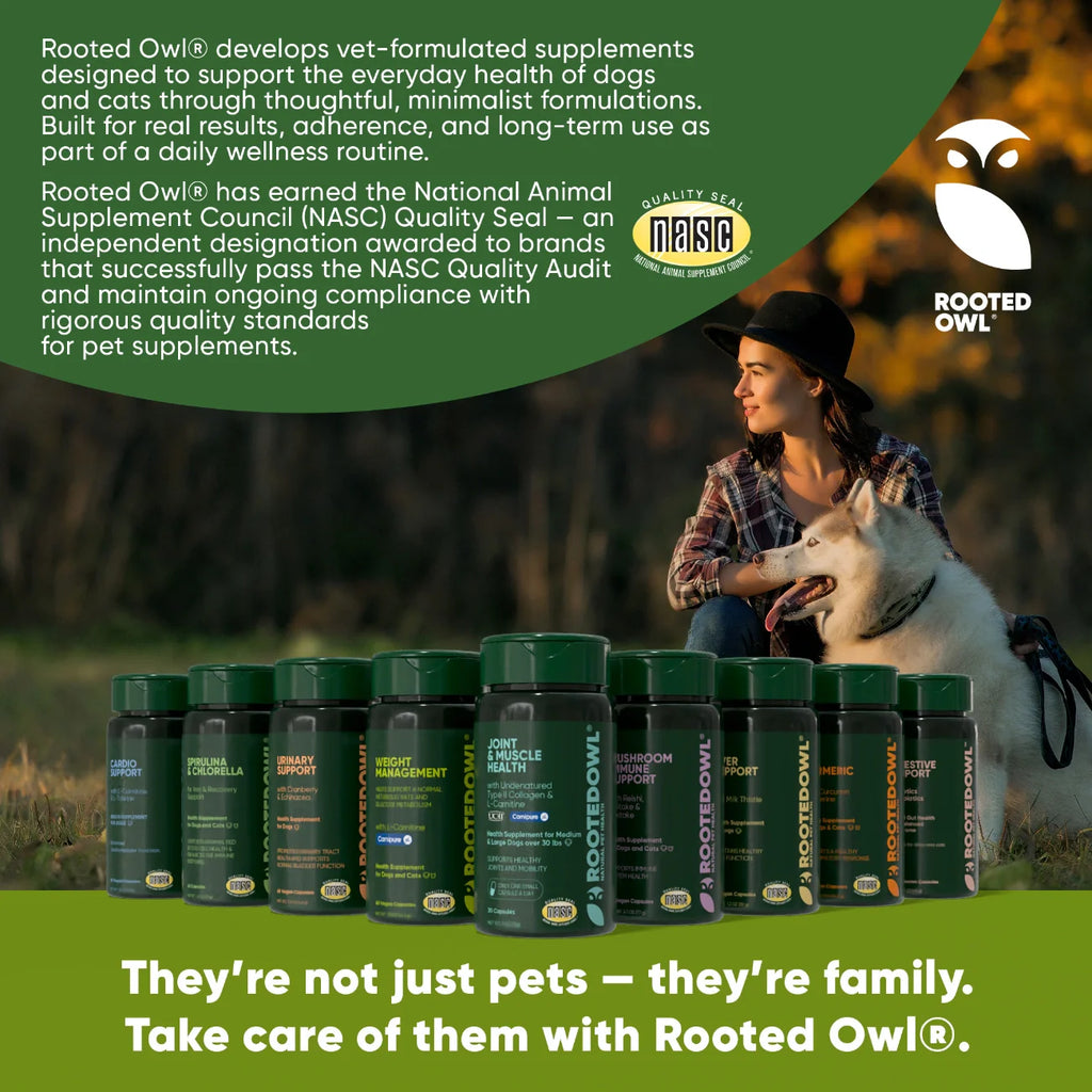 Joint Supplement for Medium & Large Dogs — UC-II® Collagen + L-Carnitine