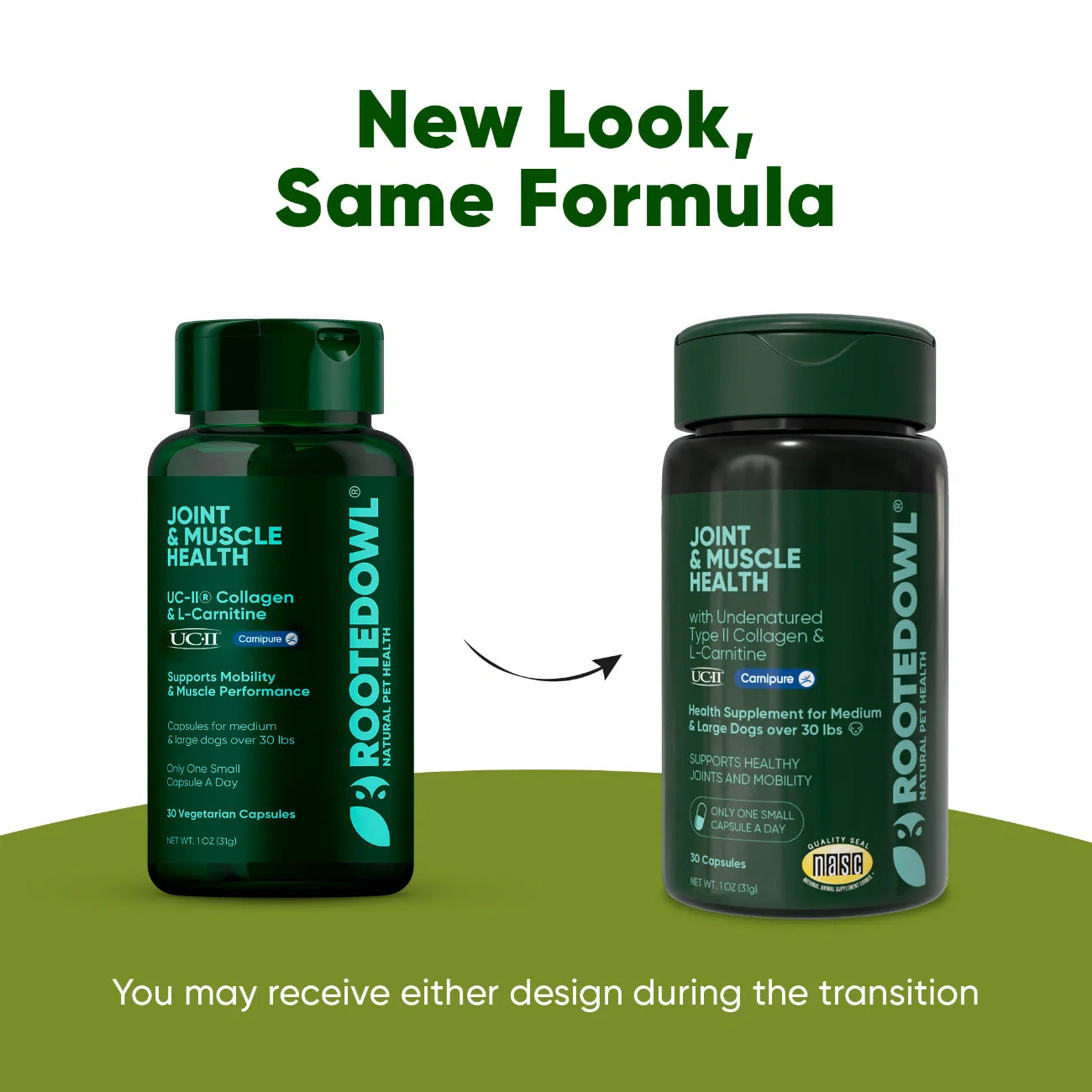 Joint Supplement for Medium & Large Dogs — UC-II® Collagen + L-Carnitine